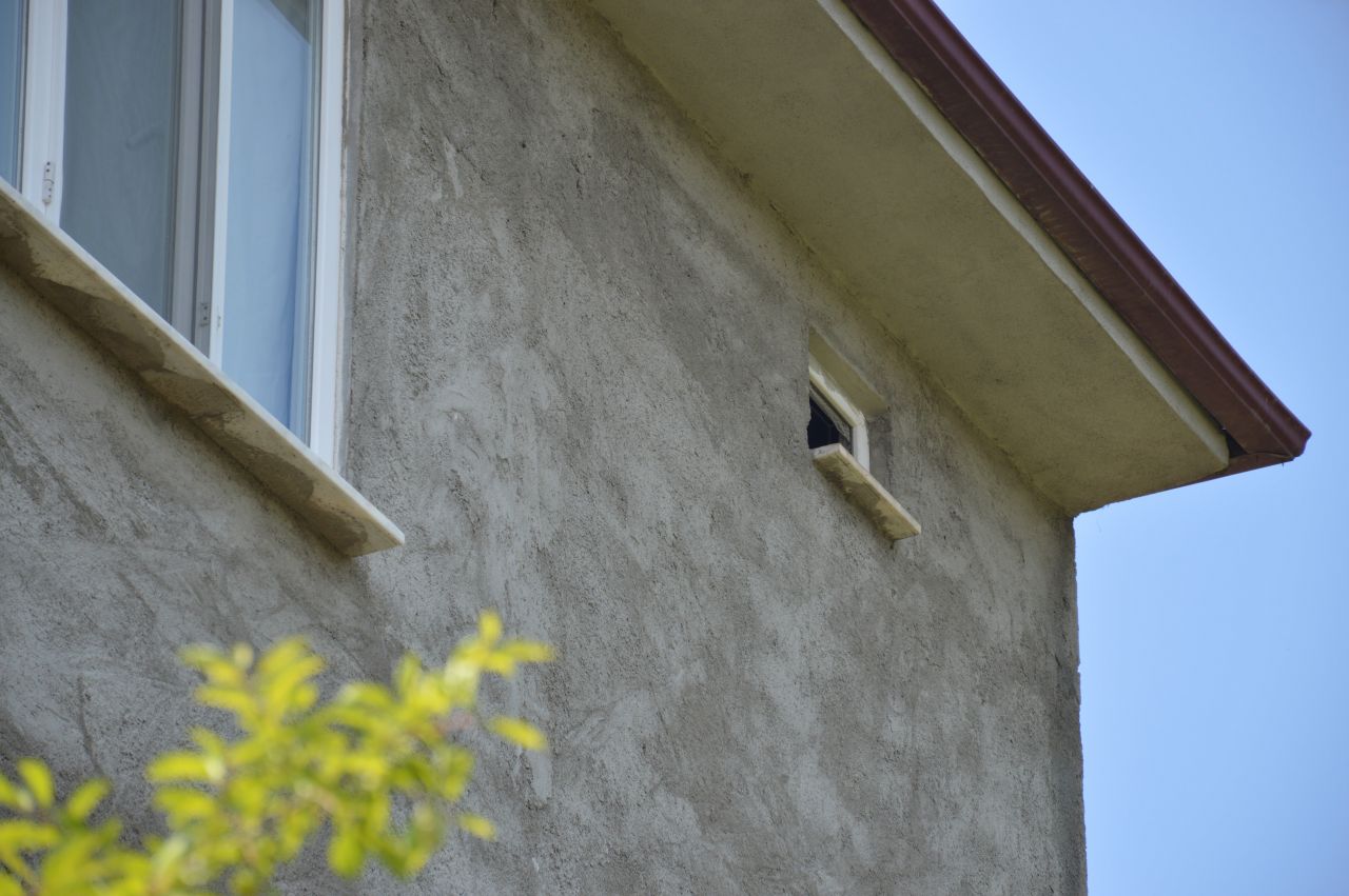 2 yıldır boş olan eve giren kadın şoke oldu! 'Hayatımda böyle bir şey görmedim' 8