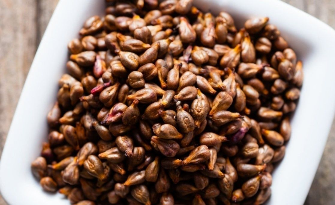 Akciğerleri hızla baştan sona temizliyor! Bu besin doğal antibiyotik gibi 10