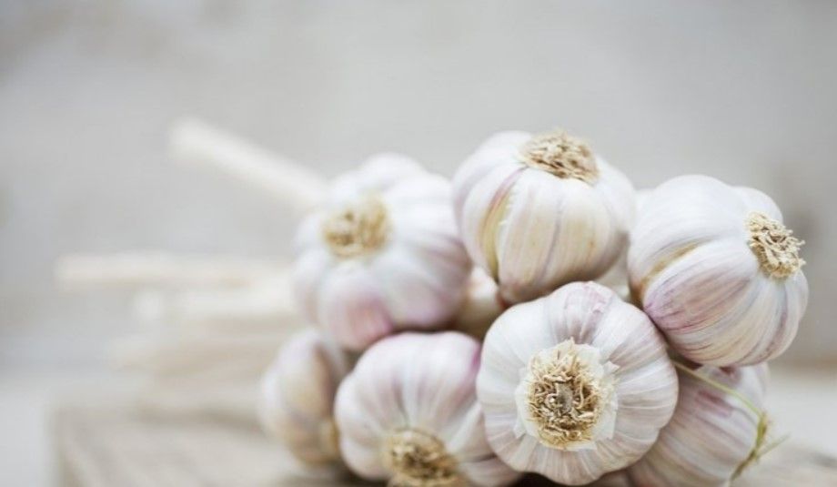 Akciğerleri hızla baştan sona temizliyor! Bu besin doğal antibiyotik gibi 5