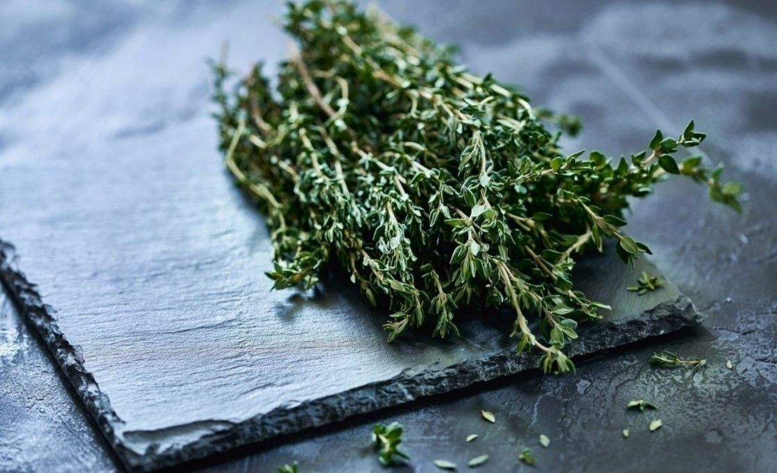 Akciğerleri hızla baştan sona temizliyor! Bu besin doğal antibiyotik gibi 6