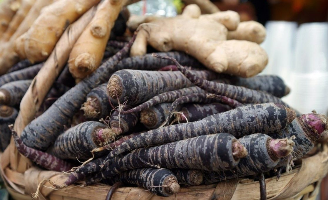 Akciğerleri hızla baştan sona temizliyor! Bu besin doğal antibiyotik gibi 8
