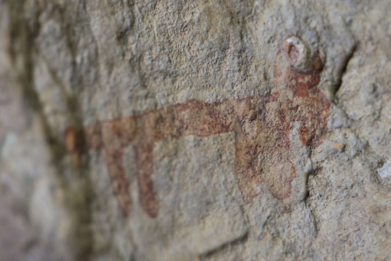 Heyecanlandıran keşif! Onlarca kişi bölgeye akın etti 8