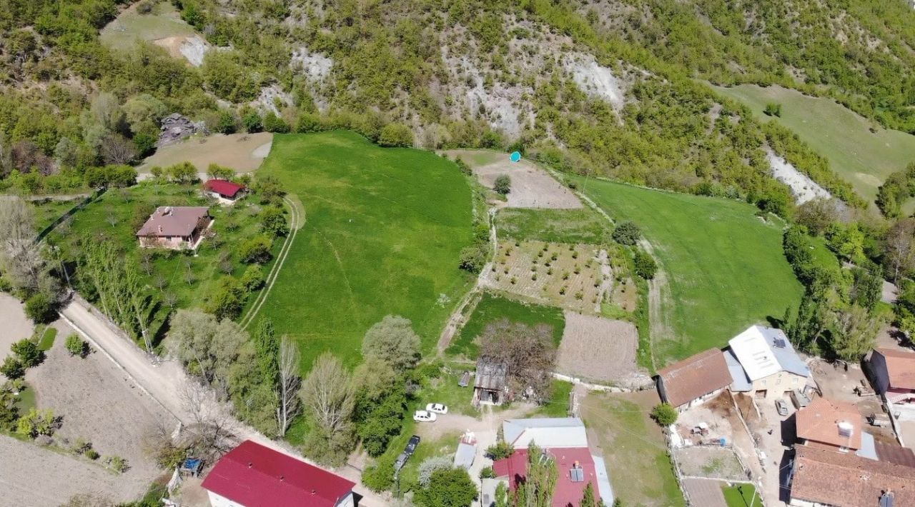 Dağda değil köyde yetişiyor, çiftçinin yüzü gülüyor 2