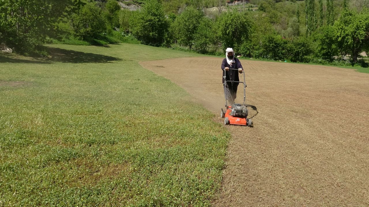 Dağda değil köyde yetişiyor, çiftçinin yüzü gülüyor 6
