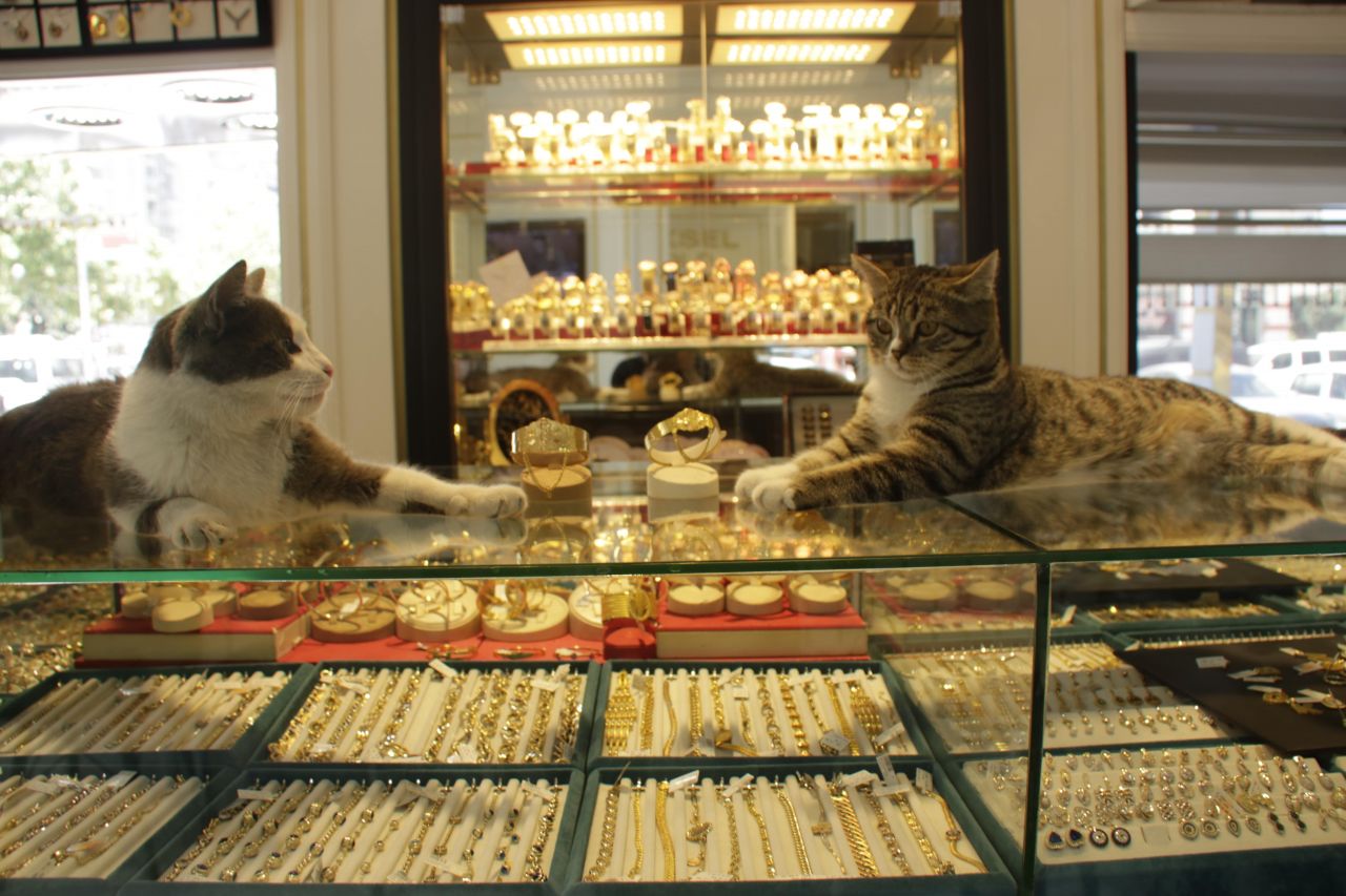 Türkiye’de bir ilk! Diyarbakır’daki kuyumculardan turist hamlesi 7