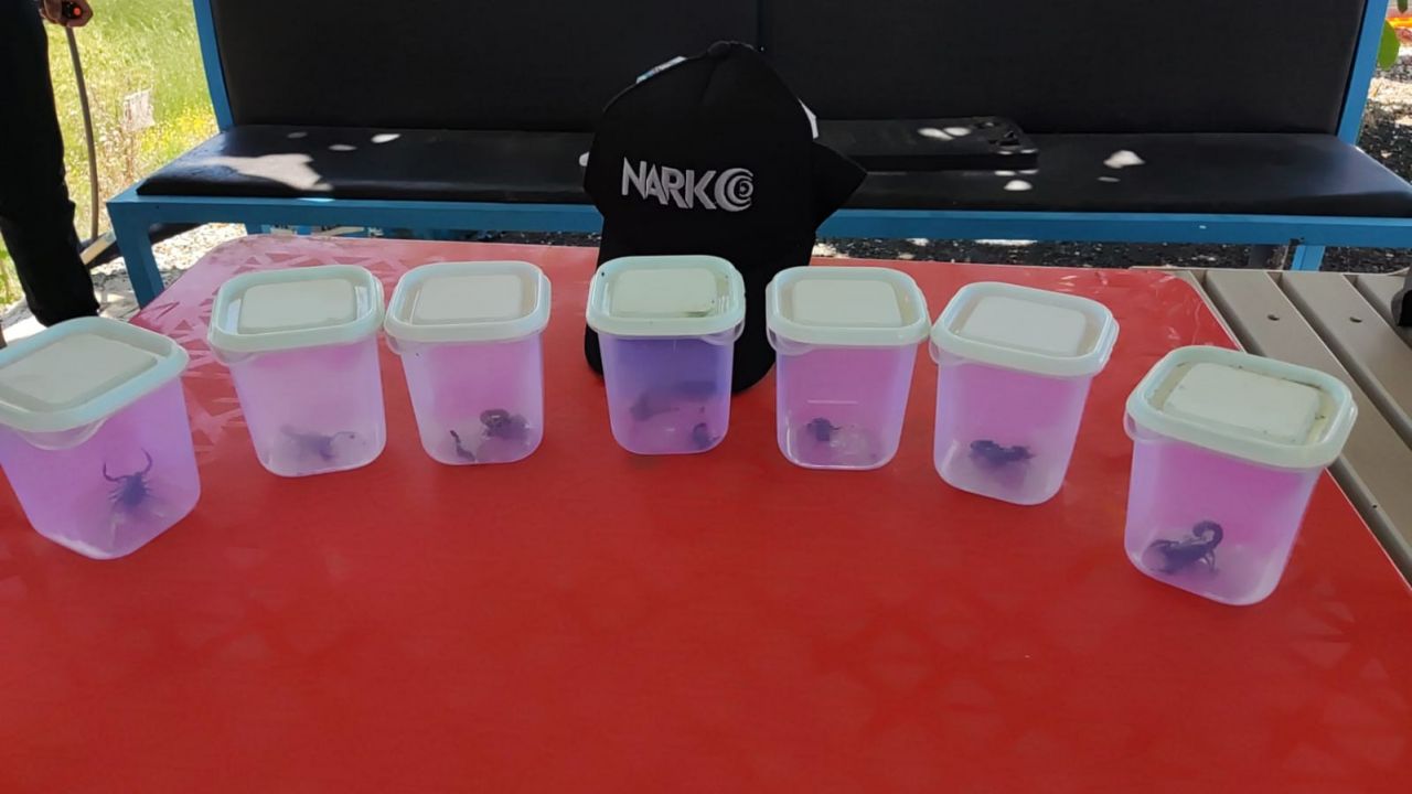 Uyuşturucu beklerken öyle bir şey ele geçirildi ki... 1