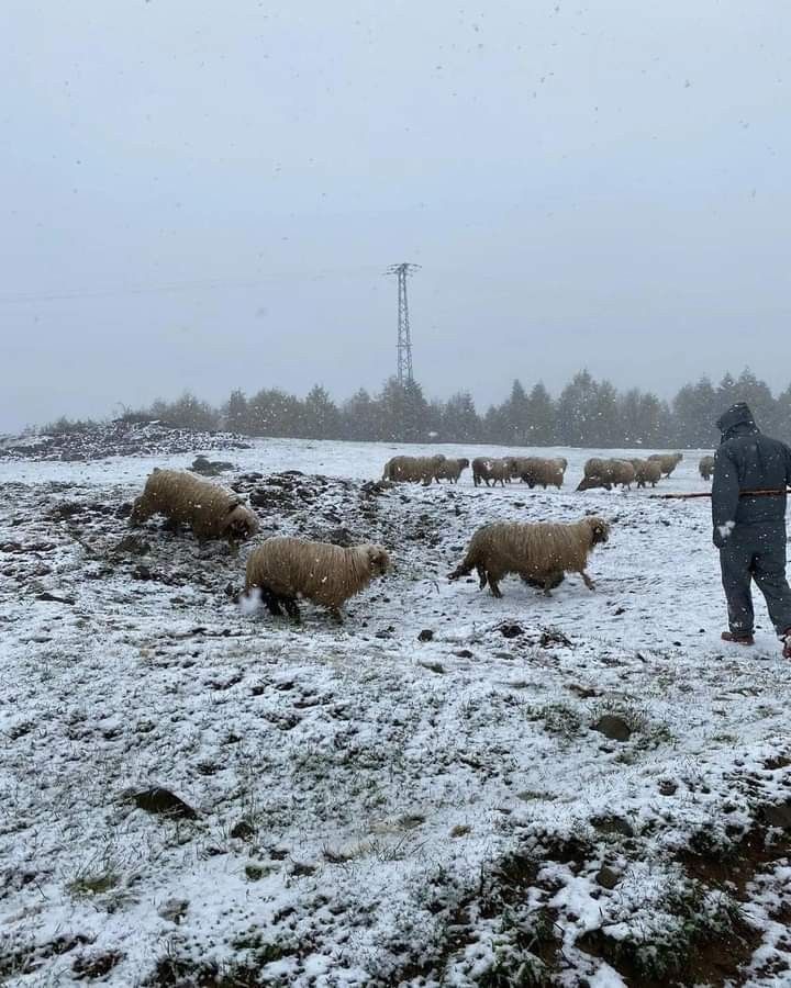 Yer: Türkiye! Mayıs ortasında yağan kar şaşırttı 1