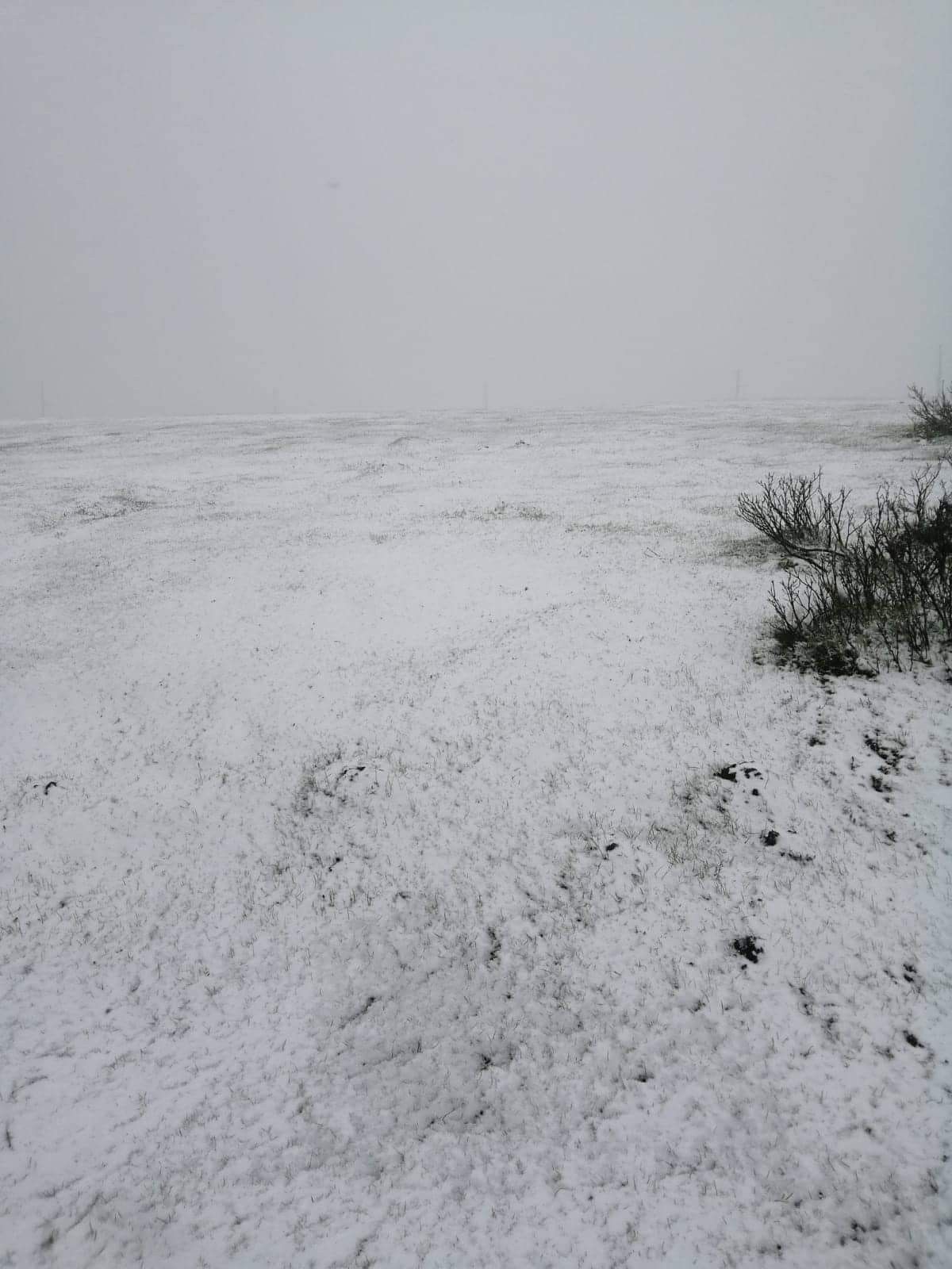 Yer: Türkiye! Mayıs ortasında yağan kar şaşırttı 4