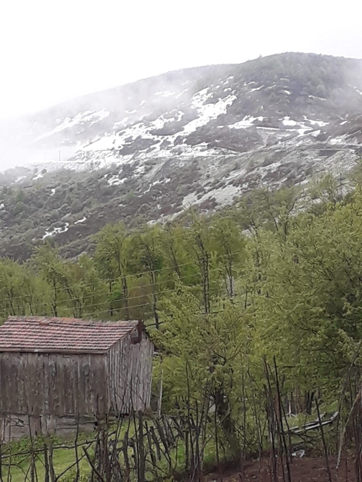 Yer: Türkiye! Mayıs ortasında yağan kar şaşırttı 7