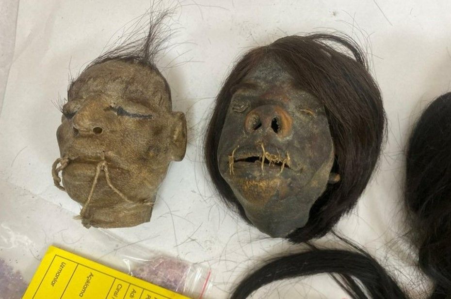 İzmir'de 'Tsantsa' operasyonu! Korkunç gelenek: Öldürüp kafalarını küçültüyorlar 1