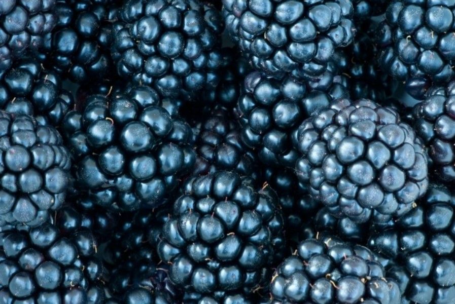 Kaynatıp içen şifa buluyor! Hücreleri onararak kanser riskini ortadan kaldırıyor 1