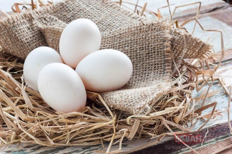 Alzheimer'ın doğal ilacı olarak biliniyor! Bu besin hafıza problemlerini kökten çözüyor 10