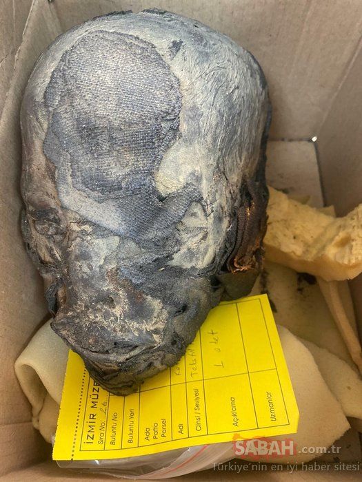 İzmir'de 'Tsantsa' operasyonu! Korkunç gelenek: Öldürüp kafalarını küçültüyorlar 10