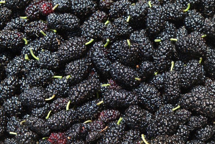 Kaynatıp içen şifa buluyor! Hücreleri onararak kanser riskini ortadan kaldırıyor 17