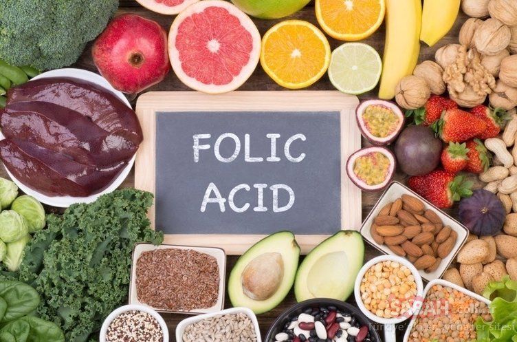 Alzheimer'ın doğal ilacı olarak biliniyor! Bu besin hafıza problemlerini kökten çözüyor 17