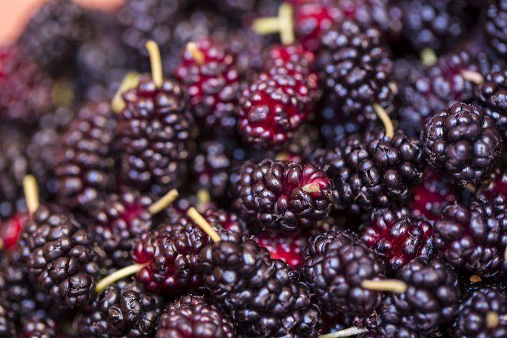 Kaynatıp içen şifa buluyor! Hücreleri onararak kanser riskini ortadan kaldırıyor 3