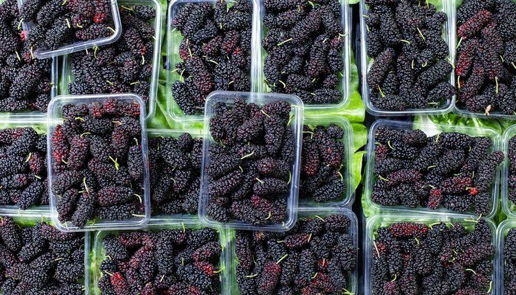 Kaynatıp içen şifa buluyor! Hücreleri onararak kanser riskini ortadan kaldırıyor 5