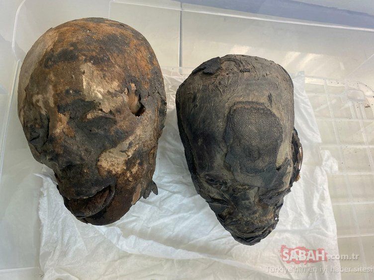 İzmir'de 'Tsantsa' operasyonu! Korkunç gelenek: Öldürüp kafalarını küçültüyorlar 6