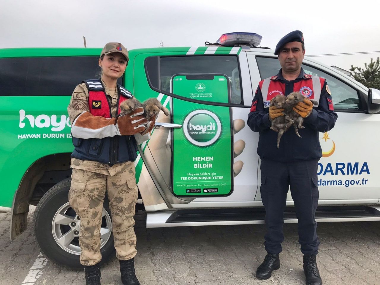 Jandarma köpeği, 4 tilki yavrusuna süt annesi oldu 2