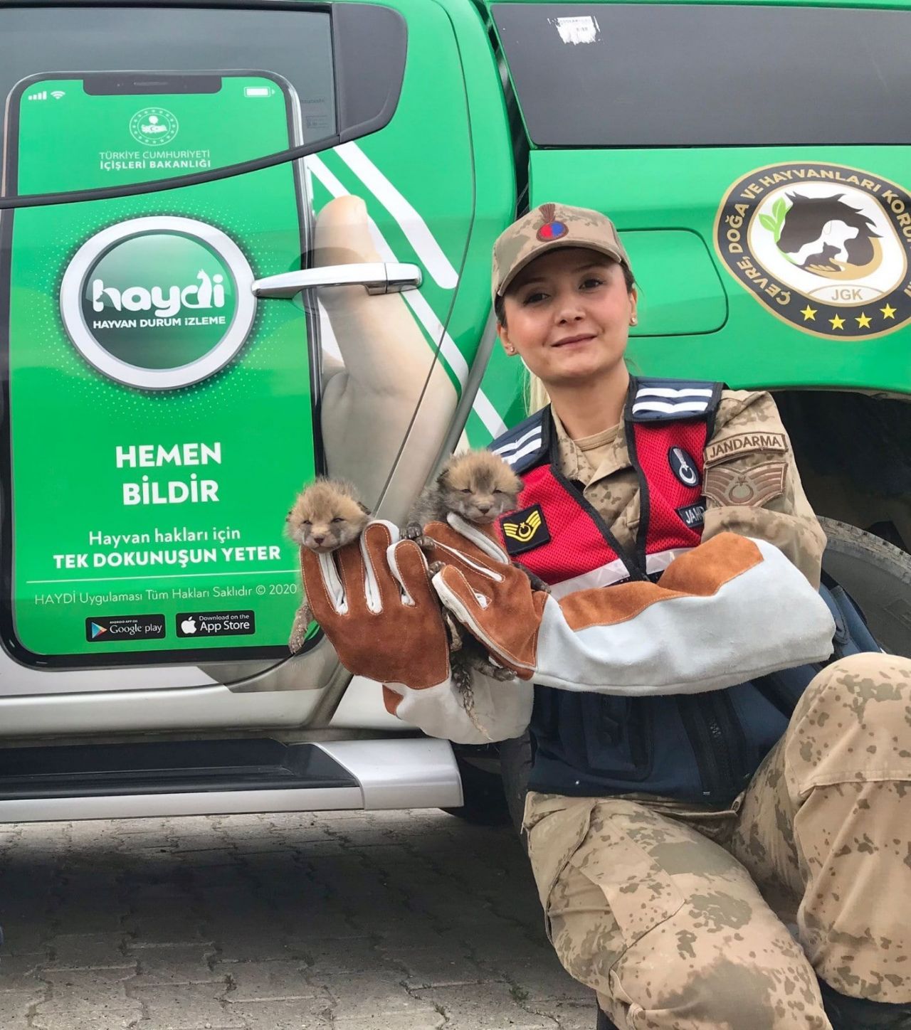 Jandarma köpeği, 4 tilki yavrusuna süt annesi oldu 3