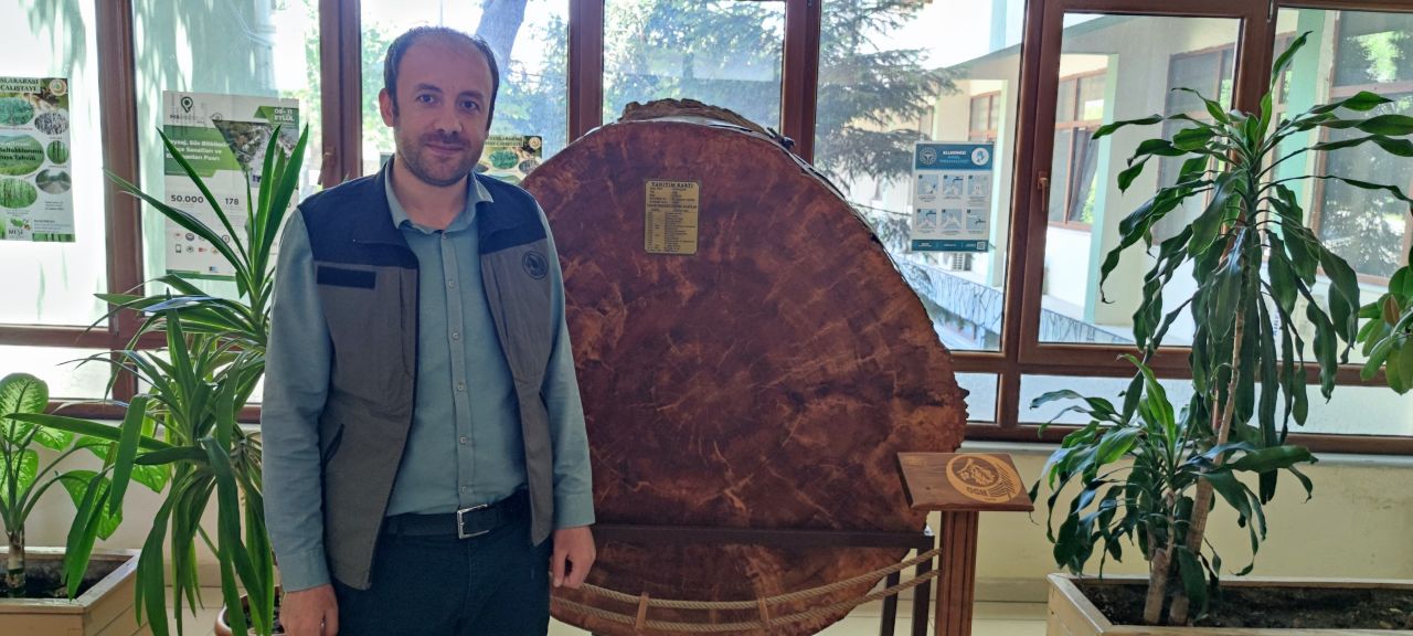 18 dünya olayına tanıklık etti! Tam 550 yaşında 1