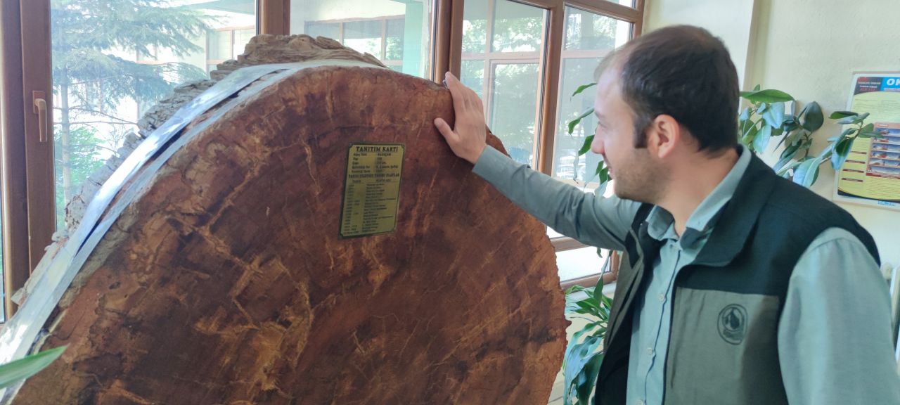 18 dünya olayına tanıklık etti! Tam 550 yaşında 4