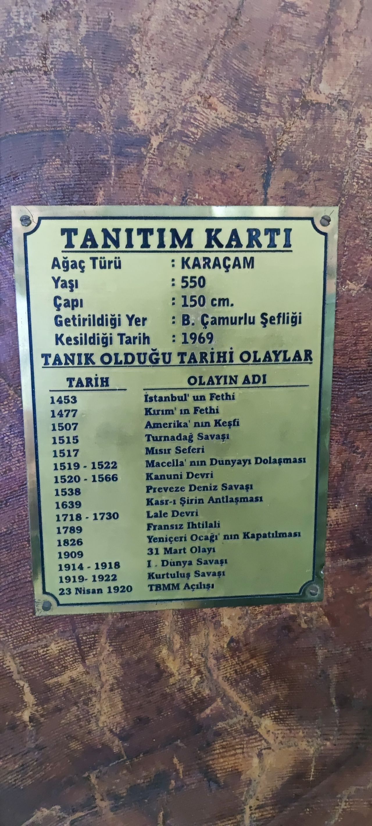 18 dünya olayına tanıklık etti! Tam 550 yaşında 5