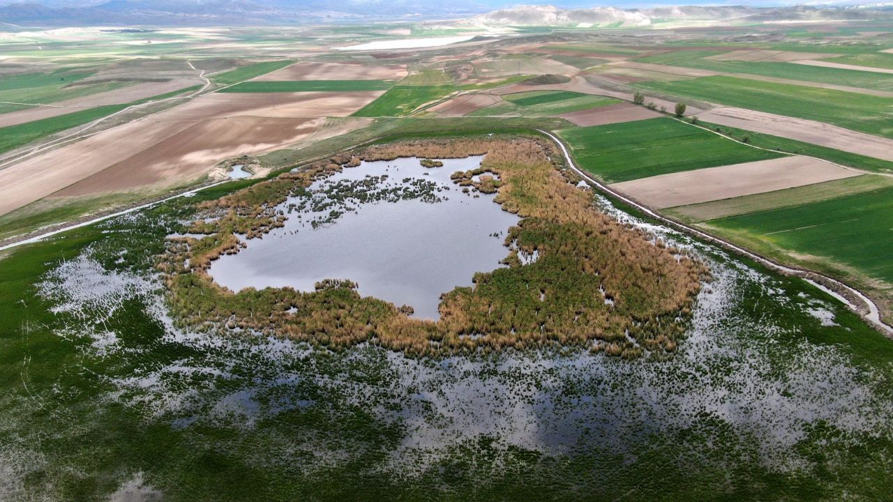 Koruma altındaki göl son görüntüsü ile şaşırttı 2