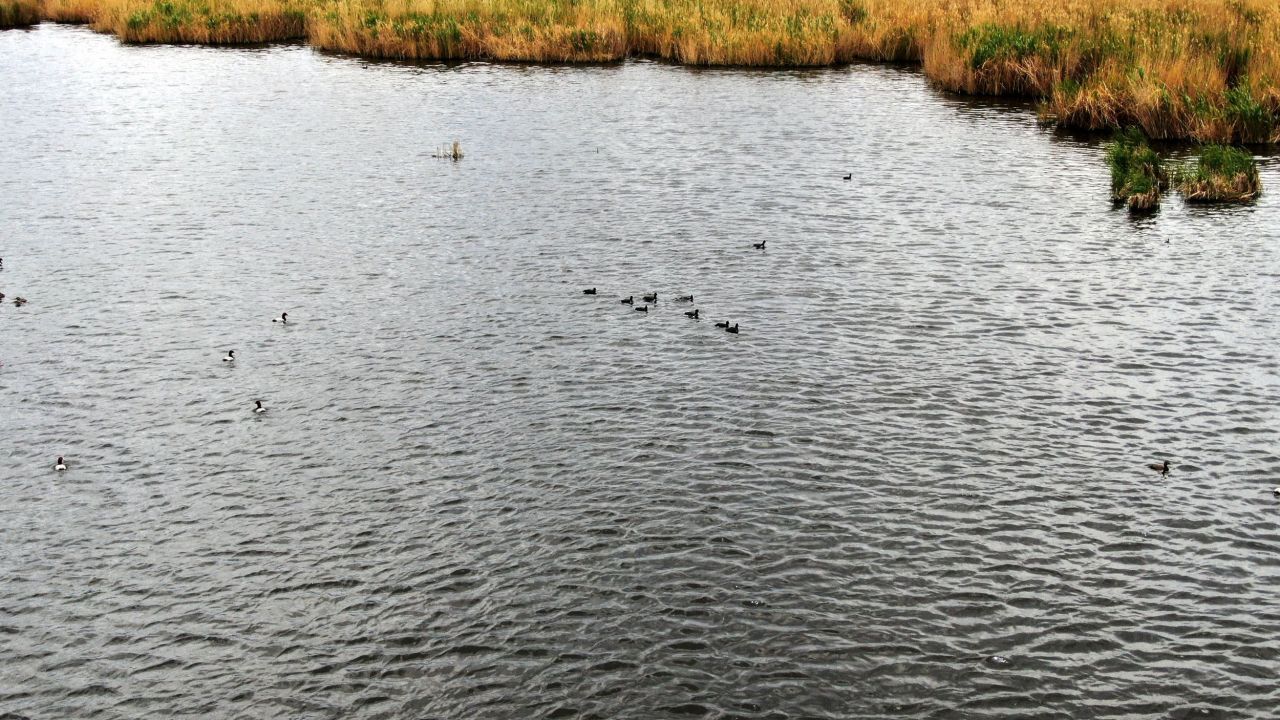 Koruma altındaki göl son görüntüsü ile şaşırttı 3