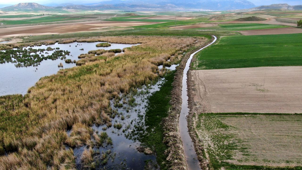 Koruma altındaki göl son görüntüsü ile şaşırttı 4