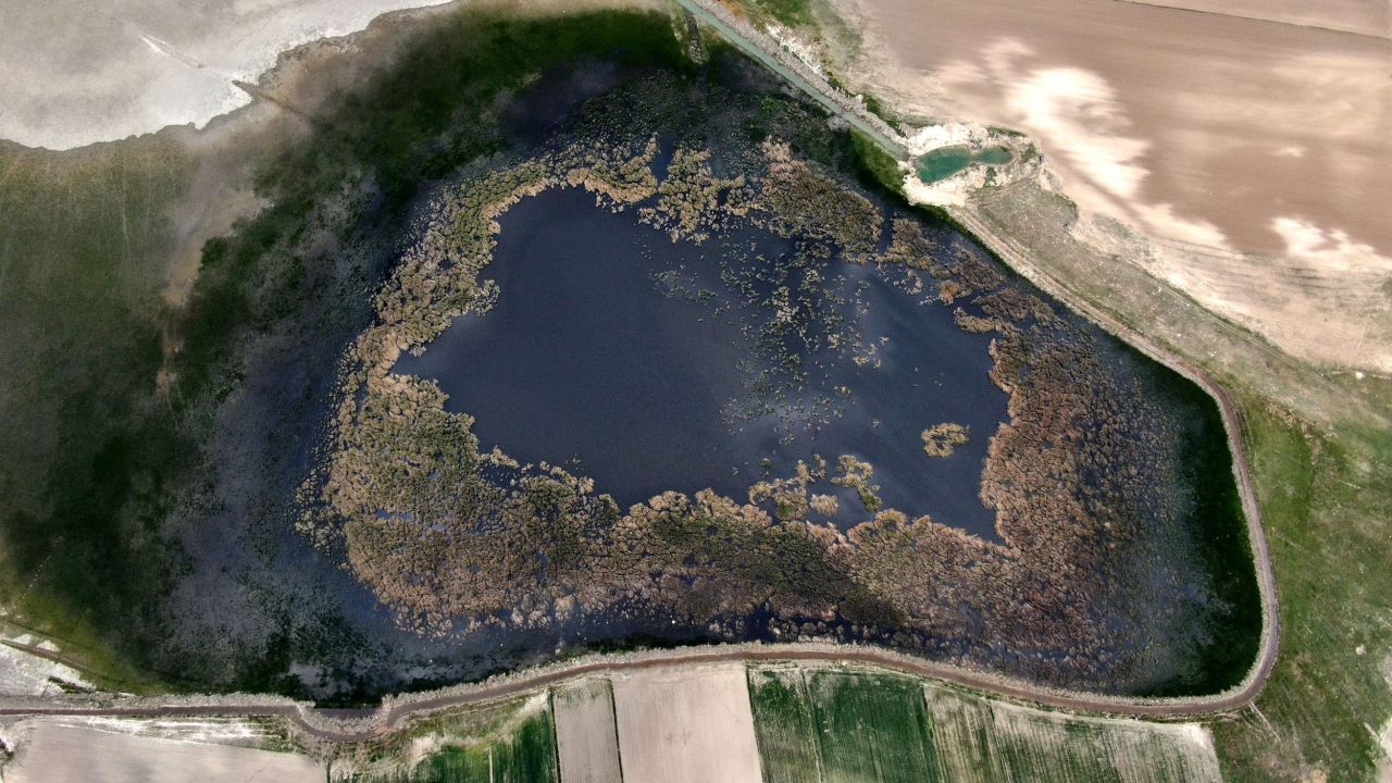 Koruma altındaki göl son görüntüsü ile şaşırttı 5