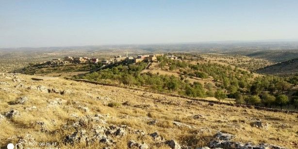 Yazları 9, kışları 20 ailenin yaşadığı bu köyden petrol fışkırıyor! 4