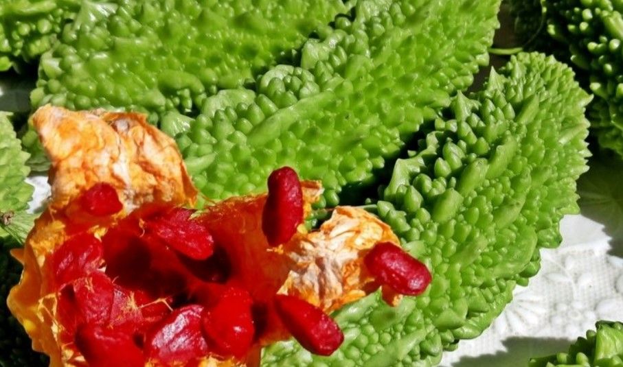 Kandaki tüm mikrobu temizliyor! İşte hastalıkları önleyen mucize besin... 1