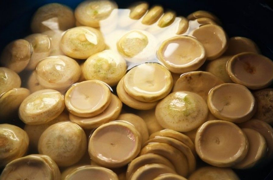 Suyunu içen kansere meydan okuyor! Adeta hayat iksiri… 1