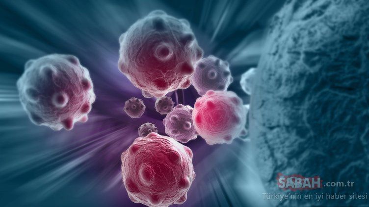 Kandaki tüm mikrobu temizliyor! İşte hastalıkları önleyen mucize besin... 10