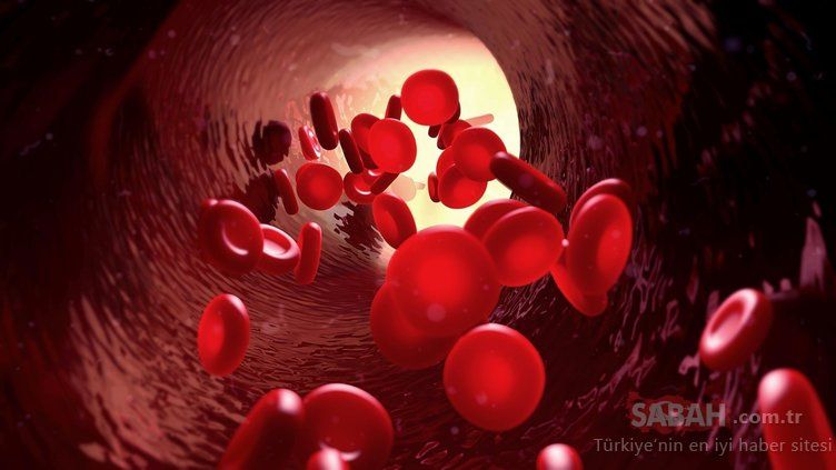 Kandaki tüm mikrobu temizliyor! İşte hastalıkları önleyen mucize besin... 18