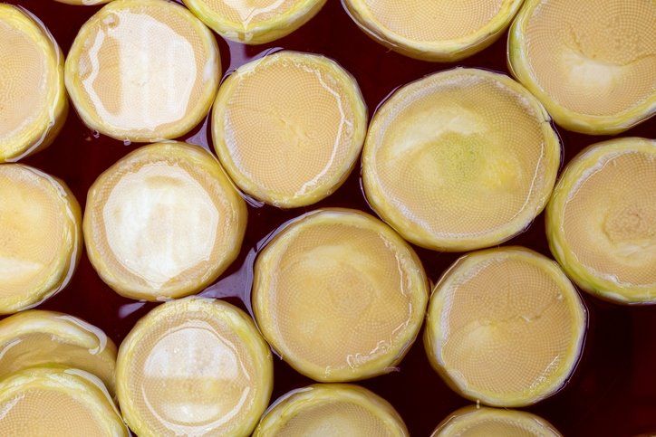 Suyunu içen kansere meydan okuyor! Adeta hayat iksiri… 26