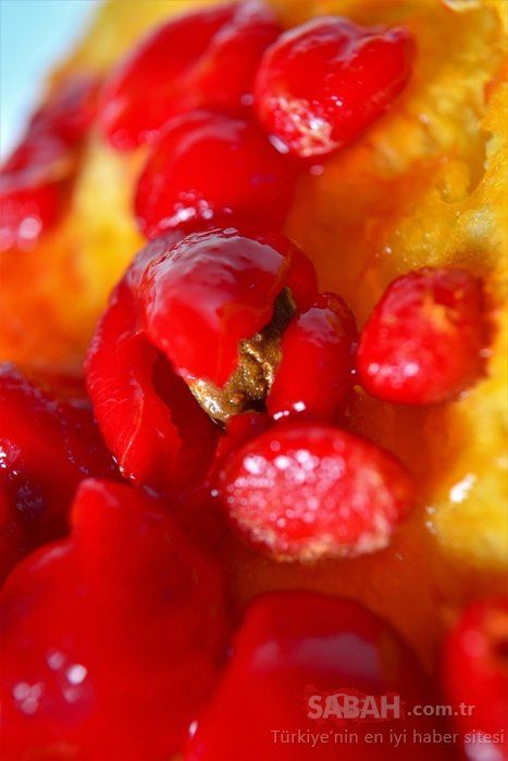 Kandaki tüm mikrobu temizliyor! İşte hastalıkları önleyen mucize besin... 34