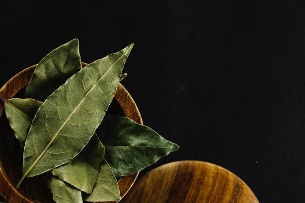 İltihap önleyici defne yaprağının sağlığa 10 faydası 16