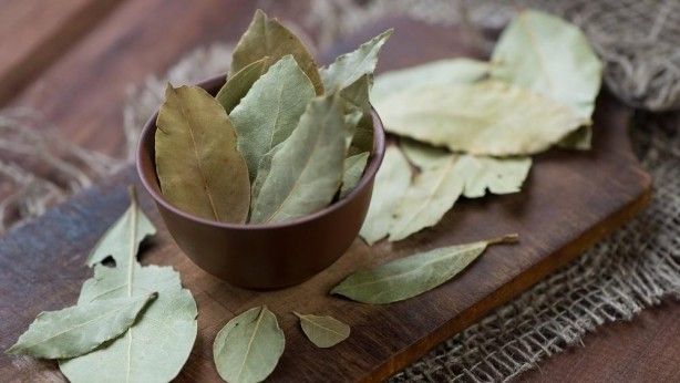 İltihap önleyici defne yaprağının sağlığa 10 faydası 12