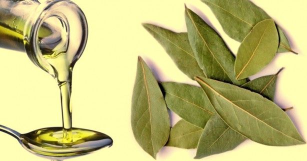İltihap önleyici defne yaprağının sağlığa 10 faydası 14