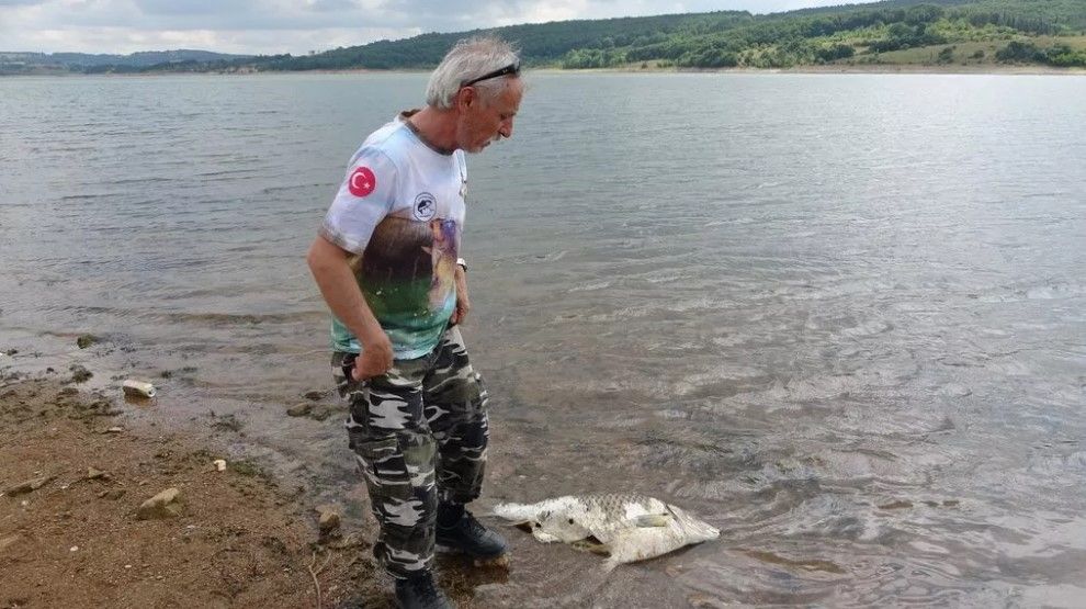 Ömerli Barajı'nda yürek sızlatan görüntü! Gece gelip katlediyorlar: Şok vermişler, gözleri patlamış 3