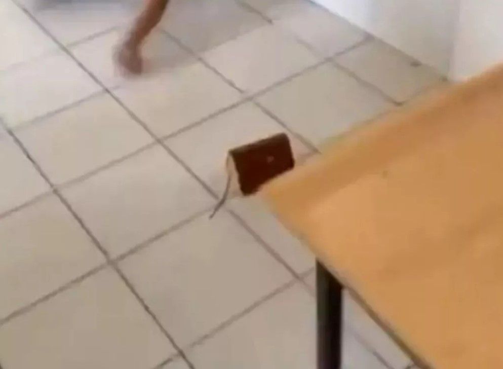 Kur'an-ı Kerim'e tekme atan lise öğrencisi büyük tepki toplamıştı! Cezası belli oldu... 2