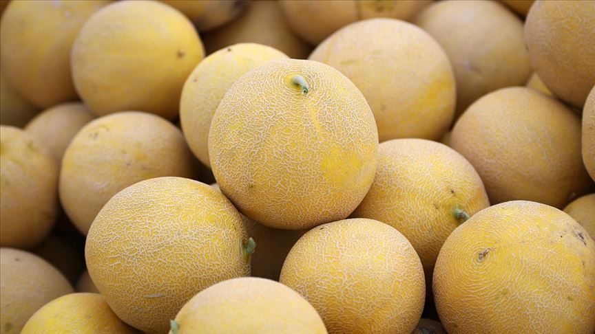 İbn-i Sina uyardı! Kavun yedikten sonra sakın bunu yapmayın 11