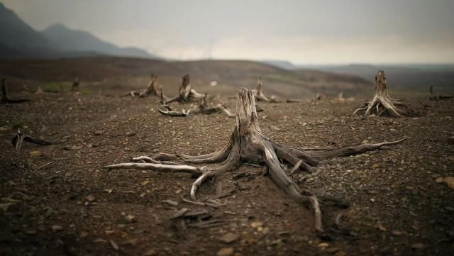 İşte dünyanın en iç karartıcı şehri 8