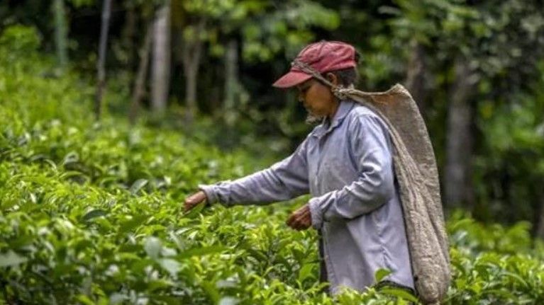 O ülke üretimi artırmak için hafta iznini 3 güne çıkardı 2