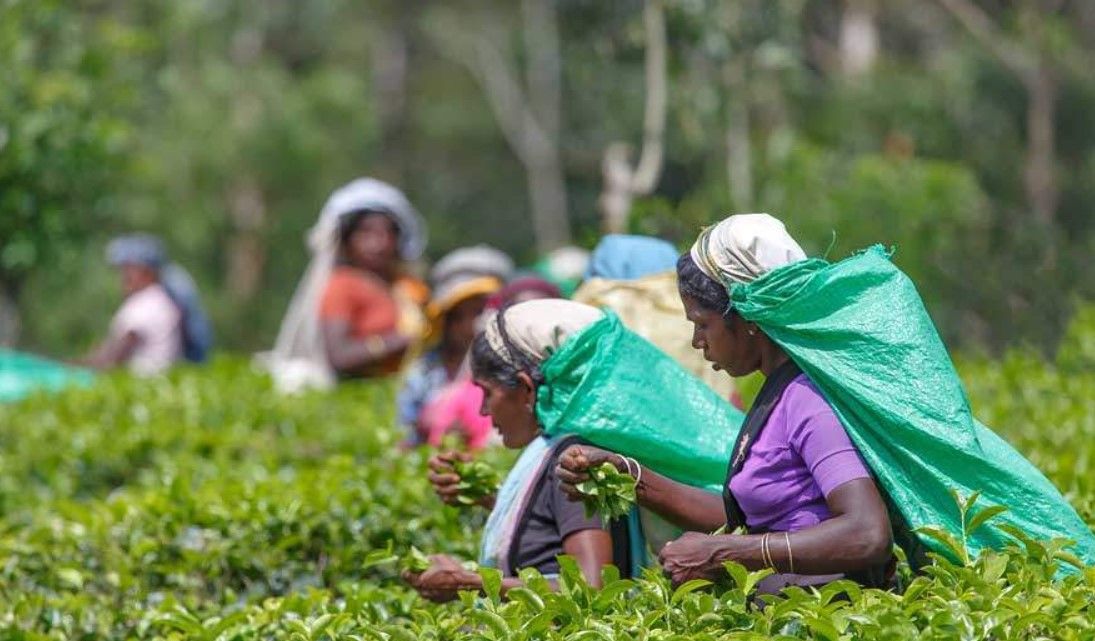 O ülke üretimi artırmak için hafta iznini 3 güne çıkardı 3