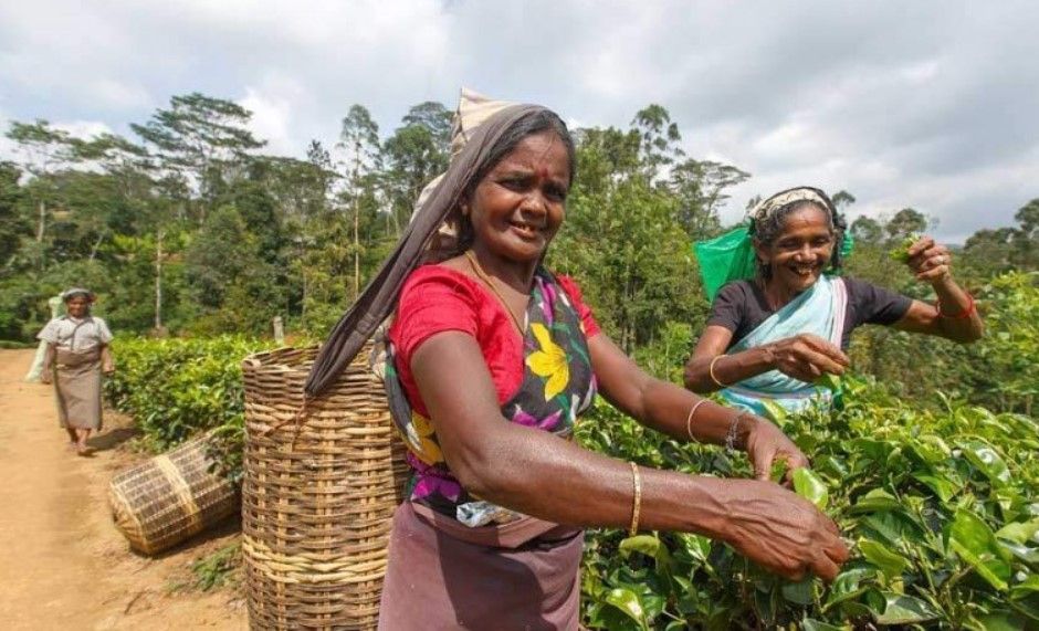 O ülke üretimi artırmak için hafta iznini 3 güne çıkardı 4