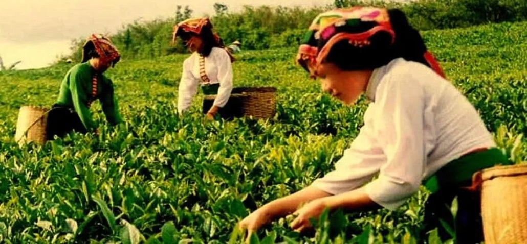 O ülke üretimi artırmak için hafta iznini 3 güne çıkardı 5