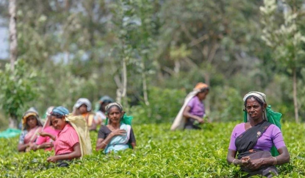 O ülke üretimi artırmak için hafta iznini 3 güne çıkardı 6